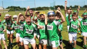 In Pictures: Ballybrown NS crowned champions as four schools battle for Limerick Leader Cup