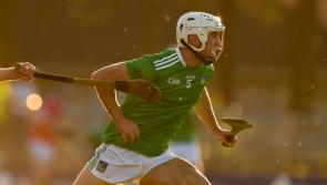 Three newcomers in Limerick hurling team as All-Ireland champions begin 2022 against Kerry