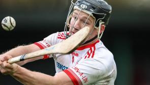 In Pictures: Limerick champions Monaleen power into Munster club IHC final