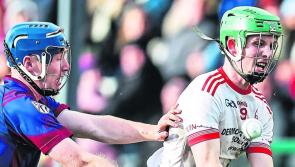 Two Limerick clubs seek to claim Munster hurling titles