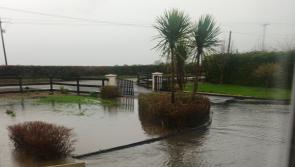 County Limerick man calls on Council to help with flooded garden