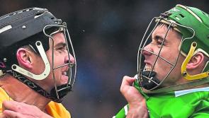 OPINION: Limerick's character and  courage shone in an epic - Shane Dowling
