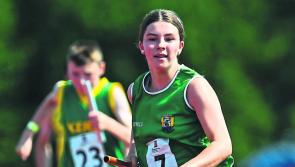 Limerick Athletics - Weekly News Update