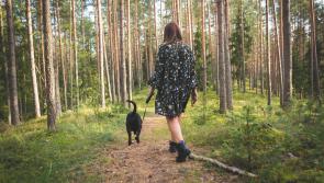 Healthy Living: Eight wellness tips for a healthy and happy New Year 
