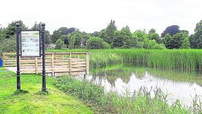 All About Wildlife: From the Dock Road to Westfields 