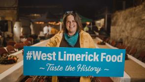 Details of Inaugural Limerick SpringFest are confirmed