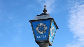 'Lowest of the low': Gardai investigate theft from Ukrainian woman in Limerick town