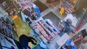 WATCH: Limerick gardai hunt gang who broke into three stores on one night