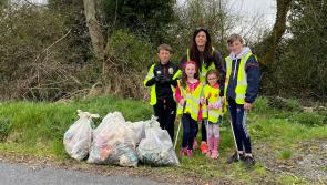 In Pictures: Limerick village 'spotless' after community comes together for Team Limerick Clean-Up