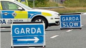 RIP: Gardaí appeal for witnesses as man in his 70s killed after being hit by car in Laois