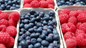 Survey reveals potential risk of illness from uncooked non-ready-to-eat fruit and veg 