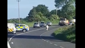 WATCH: Cute young animal causes Gardaí some trouble on busy road this morning 