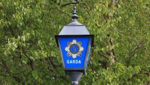 Information sought following theft of scrap copper from field close to Limerick/Tipperary border 