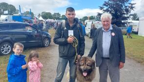 WATCH: Thousands soak up the atmosphere at Charleville Show