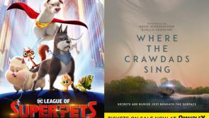 Tickets now on sale for two Summer blockbusters at Limerick Omniplex this month - news and trailers