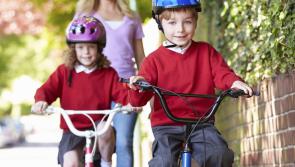 Positive Parenting: Moving from preschool up to primary school 
