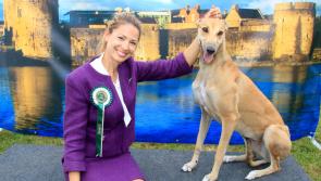 WATCH: Smiles all-around as Limerick Dog Show returns 