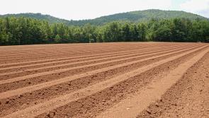 World ploughing contest due to be hosted by Russia will instead take place in Ireland