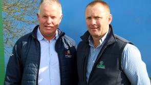 WATCH: Limerick people out and about at the National Ploughing championships