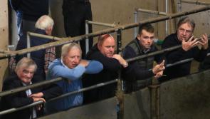In Pictures: An afternoon at Gortatlea Mart