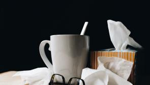 'Be prepared' - Chief Medical Officer issues winter public health advice 

