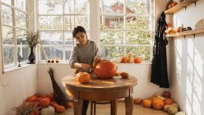 Healthy Living:  Eat the pumpkins! 