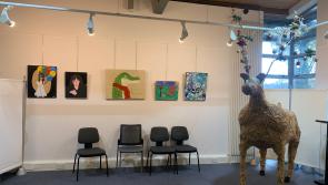 Art exhibition takes over Limerick library for Christmas