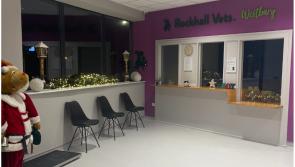 Rockhall Veterinary's star continues to rise with new clinic opening in Corbally