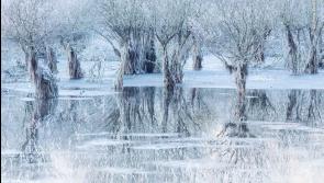 Status Orange warning issued by Met Éireann as temperatures could plunge to -11C tonight