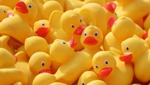 Irish consumers warned not to use bath toy containing chemical unsafe for young children