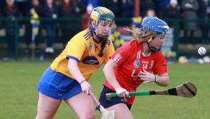 Monaleen to face Clare club in Munster junior camogie final 