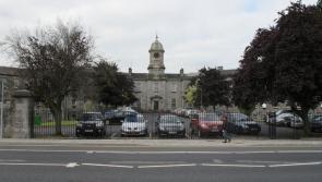 Wild About Wildlife: Green oasis  at  old Limerick city hospital    