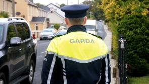 Council and gardai launch joint operation targeting criminality in Limerick town