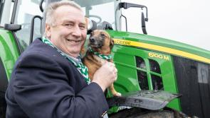 Limerick man’s pedigree chum Toby the Terrier wins him €100,000
