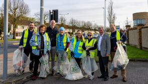 Limerick people out in force as Team Limerick Clean-Up returns for its eighth year
