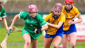 In Pictures: Limerick's minor camogie side reach All-Ireland Final with win over Clare