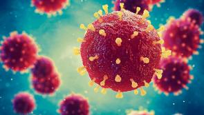 Limerick hospitals group issues update on new Covid-19 outbreak