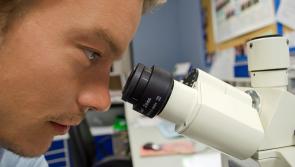 'Never too late' - DNA from unidentified human remains to be compared with national samples