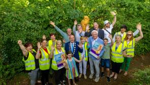 Prize fund of €60,000 for Limerick communities as Going for Gold competition is launched