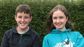 In Pictures: 146th South of Ireland Tennis Championships at Limerick Lawn TC
