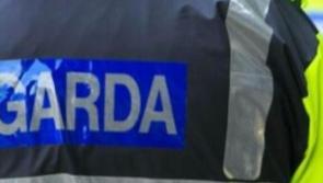 Driver took over from terminally ill friend - Limerick court hears