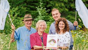 Green Limerick: Shannon Airport launches new plan to lend a hand to nature