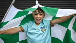 WATCH: Limerick Leader's All-Ireland hurling final preview live from Croke Park 