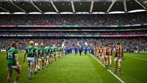 Over a million people watch Limerick's historic All-Ireland success on RTÉ