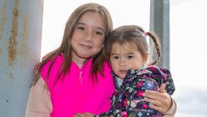 In Pictures: Big crowd in Caherconlish for crunch Limerick SHC clash