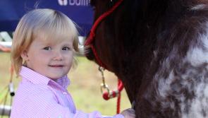 WATCH: Limerick Show is once again a big hit!