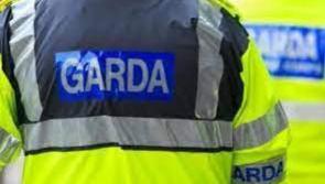 Man arrested after firearm and ammunition seized in County Clare

