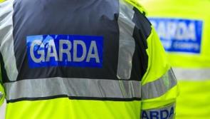 Man arrested following robbery incident at Limerick business premises
