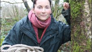 On the search for rare bumblebee species in Limerick