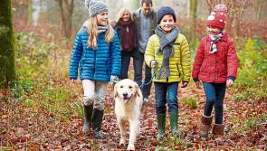 Positive Parenting: Your cheat sheet for a stress-free mid-term break